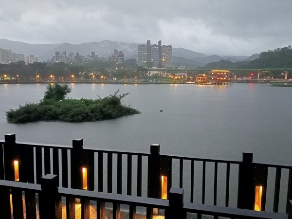 大湖公園《雨中夜行》1904682