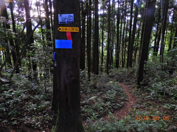 新竹 五峰 鳥嘴山、鵝公髻山986660