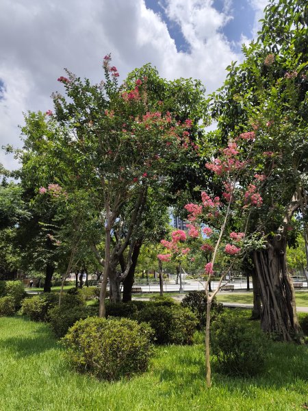 大安森林公園、大港墘公園【走路趣尋寶】【臺北健走趣】2556032