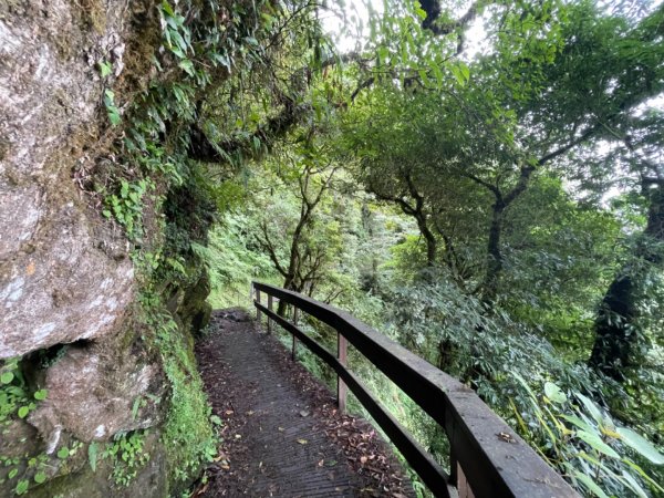 檜山巨木森林步道2224133