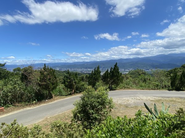 2025微笑山線大縱走尋寶集章任務-Ep.02【大棟山系】百年大榕樹2884766