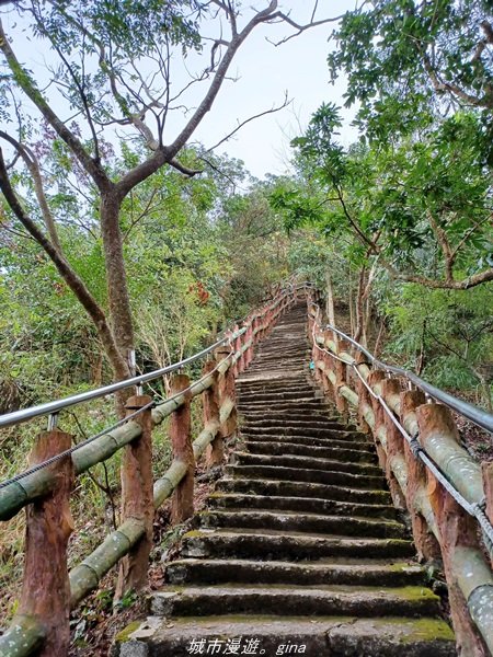 【高雄。旗山】小百岳集起來。 編號76小百岳-旂尾山步道1578063