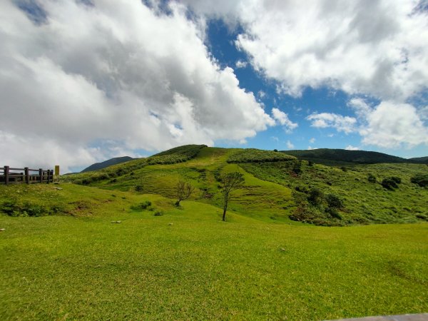 ［讓我們看雲去！］［擎天崗環形步道］&［竹篙山］（2023/9/19）2290998