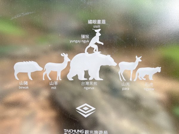 雪山坑環線步道3023325