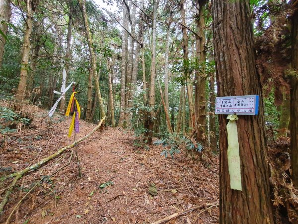 【埔里六秀之首】守城大山1291120