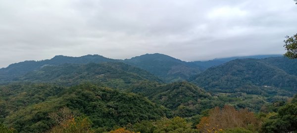 大分林山步道-2022/01/081577924