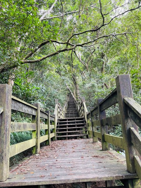 1150124帽子山。25落山風藝術季。2987162