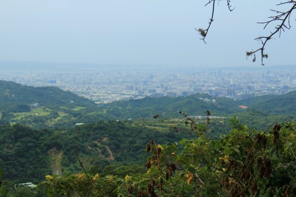 雙十闖大坑二五三號步道 202010091133779