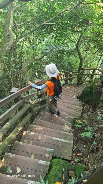 2024-0824 烘爐地登山步道(柴埕路60巷登山口來回)2579518