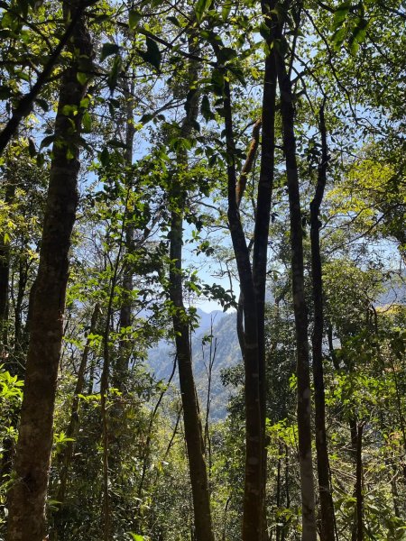 2025/3/22白毛山2823675