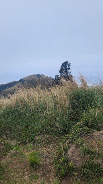 2026-0116 大屯三山_貴子坑_北投2984727