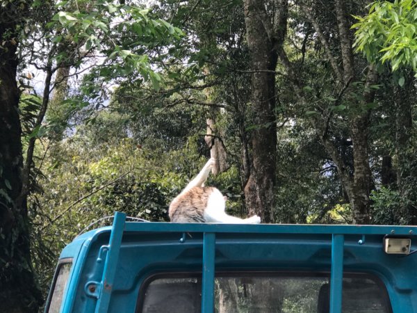 特富野古道903215