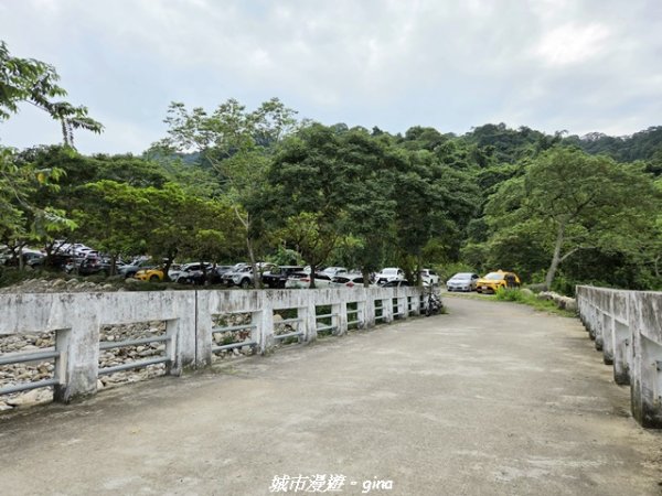 【台中北屯】大坑四號步道x頭嵙山3090932