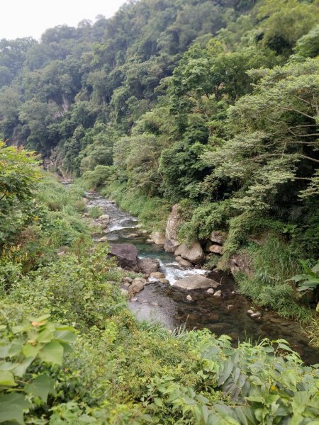 魯壁山-青蛙石_202406152526908