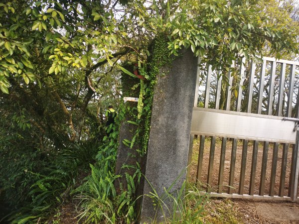 二格山越嶺貓空2735631