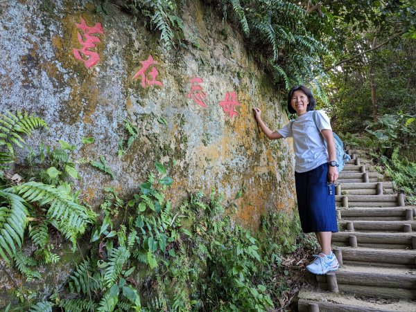 【小百岳009】台北 劍潭山1985369