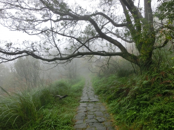 小油坑．中湖．夢幻湖．七星公園．冷水坑95044