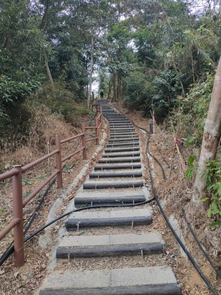 嘉義［阿拔泉山稜線步道］+太平雲梯2235736