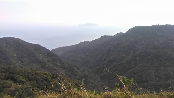 2019 3/2 草嶺古道 桃源谷853683