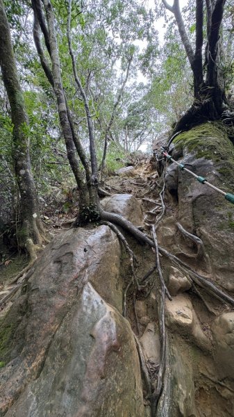 迎新（2026元旦2975559