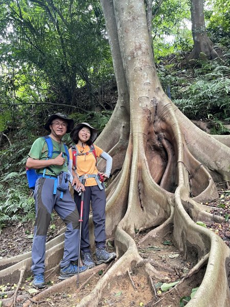 飛鳳山 大8三個山頭1722212