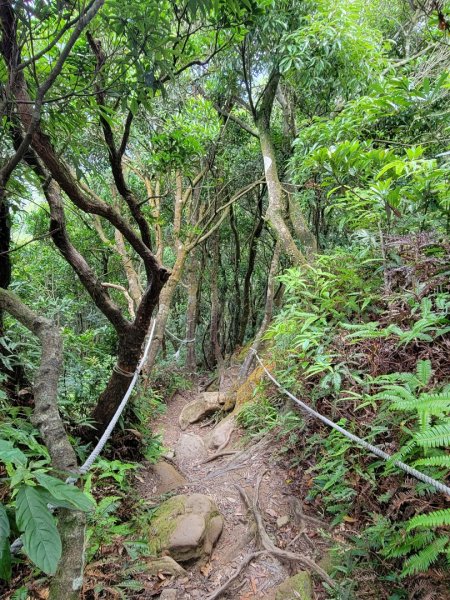 2022.07.19 台北天際線第一段 二格山-新店1769821