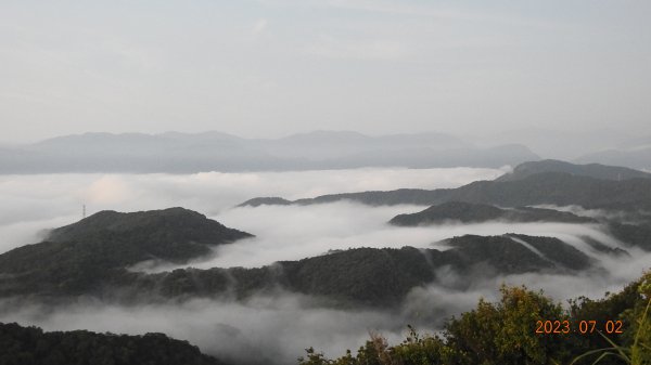 二格山日出火燒雲&雲海流瀑 7/2 & 3 #豔粉蝶 #長尾水青蛾2201605