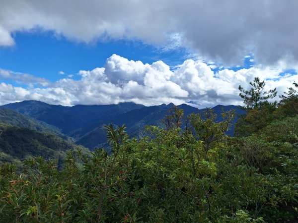 觀霧之榛山O型202411232653946