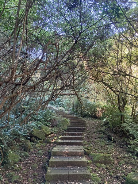 五分山登山步道2373513