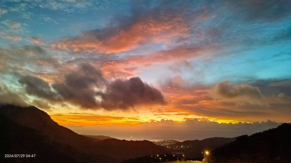 雲山水花鳥蝶 - 天龍國阿伯的日常7/18 & 21、22、292559979