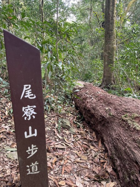 230219-告別寒假，挑戰魔王小百岳#073 尾寮山。美美兔咬牙慢走8小時。2040906