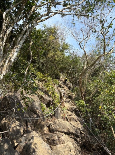 龍麟山步道（王爺崙2703661