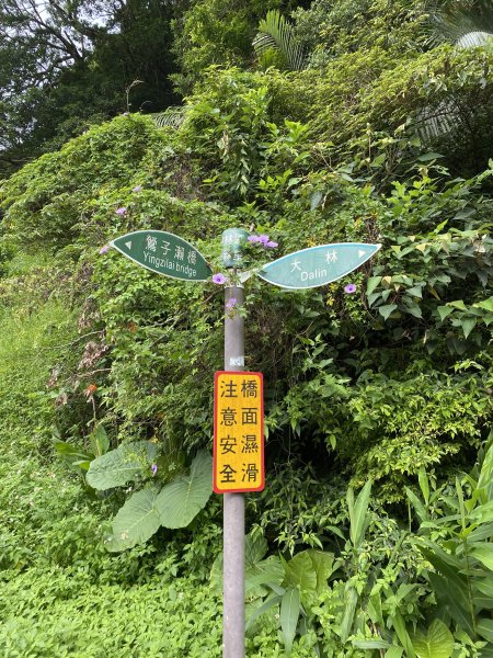 【淡蘭古道尋寶任務】淡蘭南路第四段｜𩻸魚堀溪自行車道至縣界公園2926381