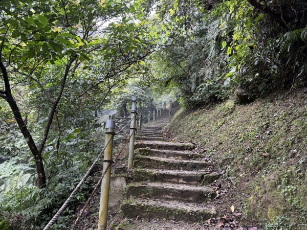 [微笑山線_第四段] 2026_0321 天上山系_天上山3020969