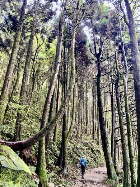 橫嶺山-沙蓮山-笛吹山連走    2022/7/51754682