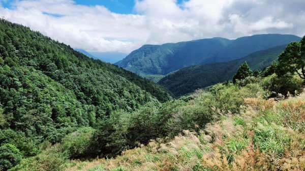 〔太平山〕見晴懷古步道 翠峰湖環山步道 山毛櫸步道。〔南投〕奧萬大國家森林遊樂區 鹿谷鳳凰谷鳥園2129250