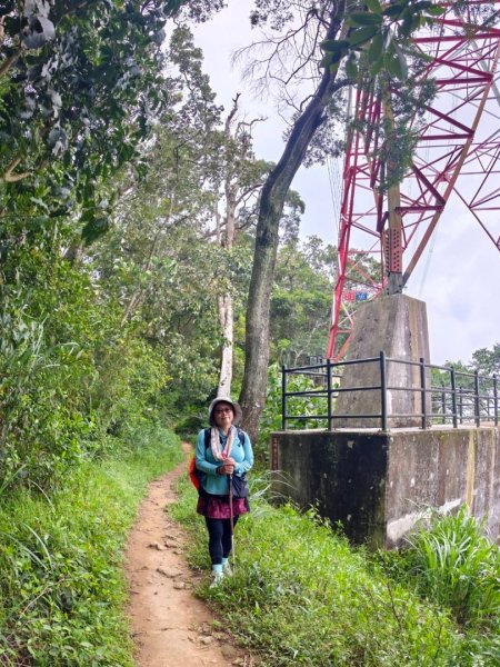 大艽芎古道縱走 新/溪州山(小百岳#23) 出溪州公園2893923
