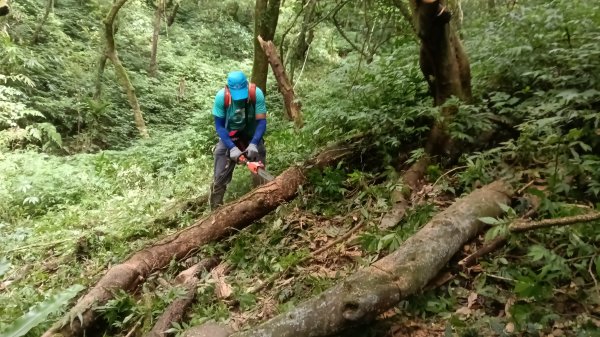 雙溪區烏山古道西線-大湖尾古道支線-大湖尾古道O型3098467