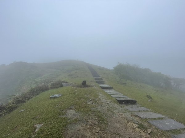 淒風苦雨的灣坑頭山2081167