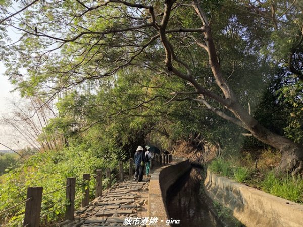 【台中烏日】知高圳步道x雪蓮步道x學田山3027118