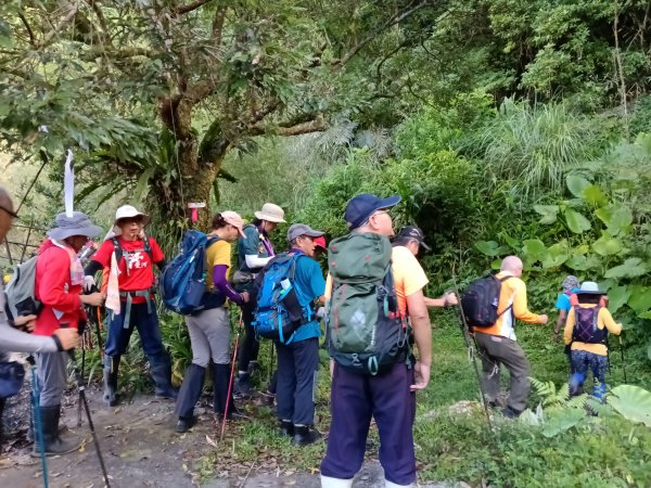 雙溪區大湖尾古道+灣潭古道O型2874790