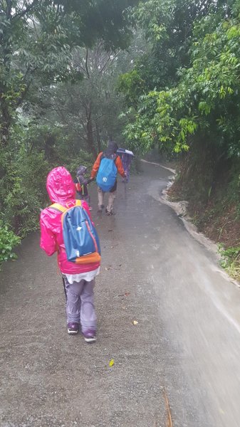 難得的登山體驗宛如明天過後441180