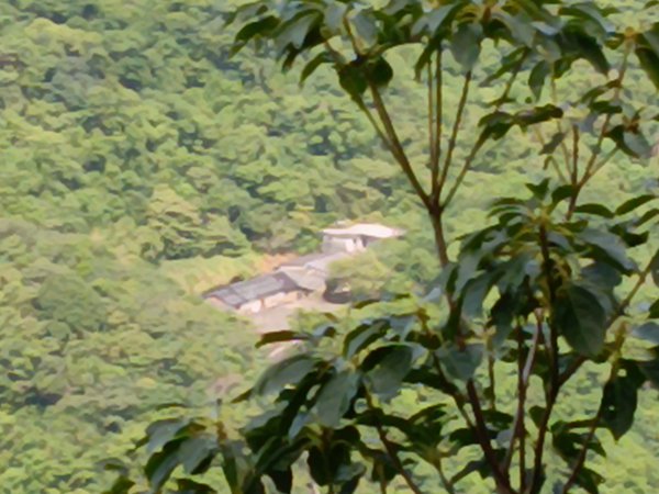 雙溪區中坑古道+大夯瀑布+中坑東山+中坑東山尾稜O型2921502