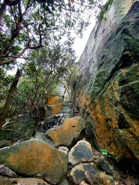 大砲岩-石壇山-八頭山-湯守岩-丹鳳山-202412222859765