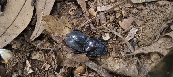 2025/09/29_仙山群峰2897344