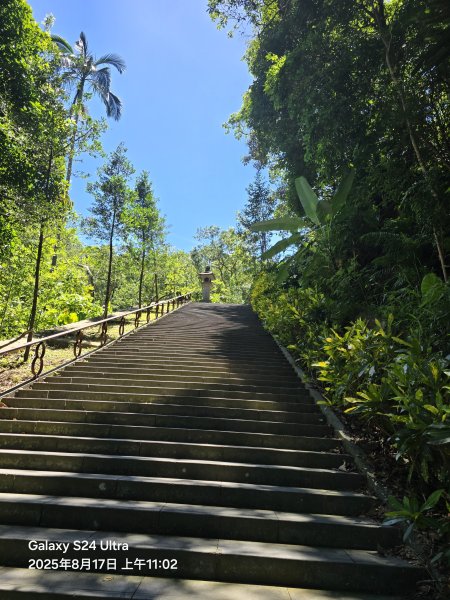 2025-08-17臺北大縱走第七段：世界山莊至飛龍步道政大後山2862363