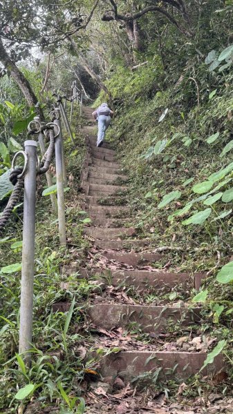 20251025 小百岳竹子尖山及刣牛湖山2925005