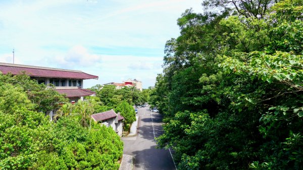 南勢坑小尖,大尖2816041