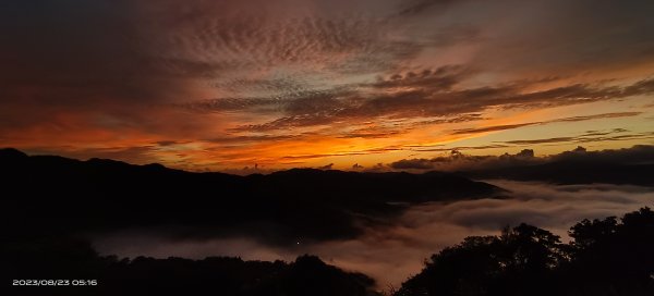 獵狸尖星空雲海&慈瑤宮火燒雲朝霞日出雲海2259547