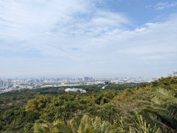 2023-02-04 大坑9、10號步道2792378